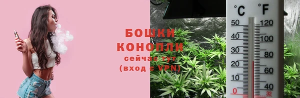 стафф Богородск