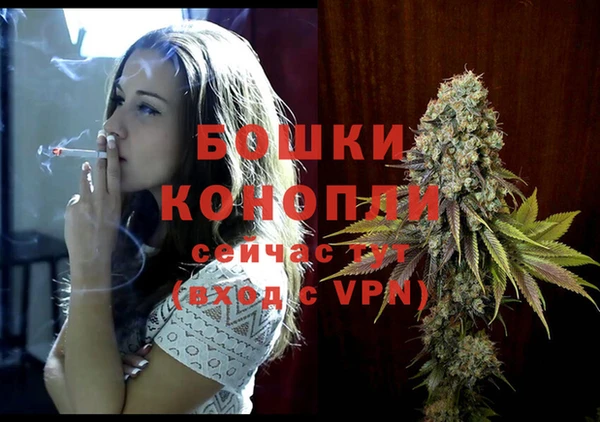 наркотики Бородино